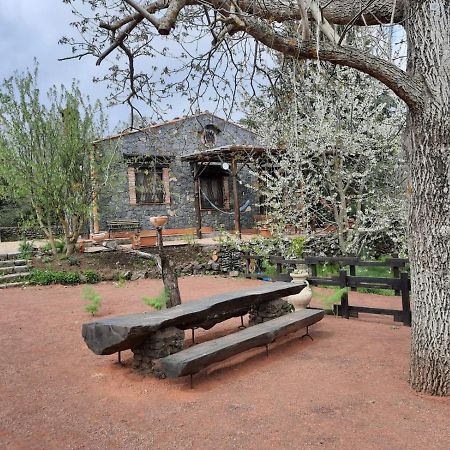 Villa Casa Etna Bronte Esterno foto