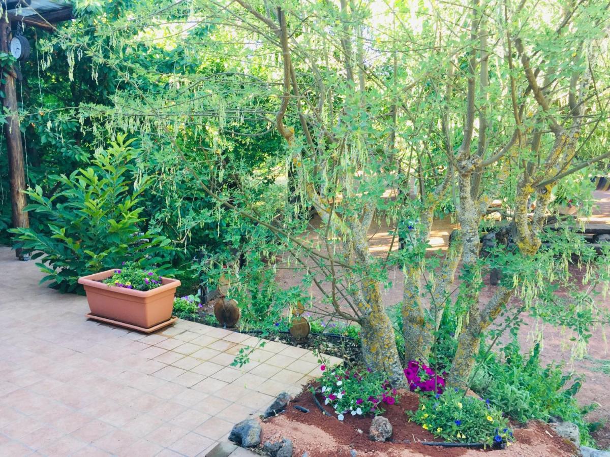 Villa Casa Etna Bronte Esterno foto