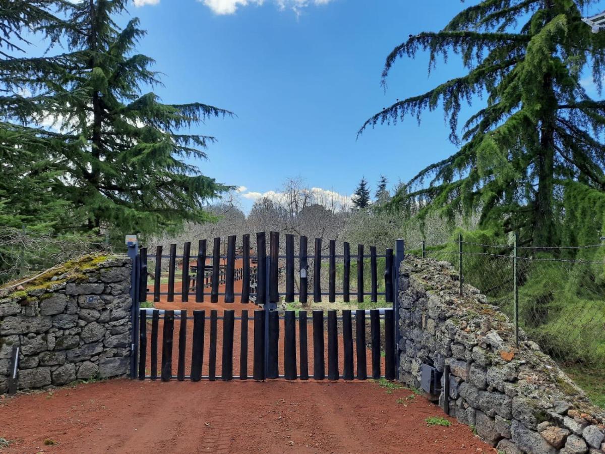 Villa Casa Etna Bronte Esterno foto