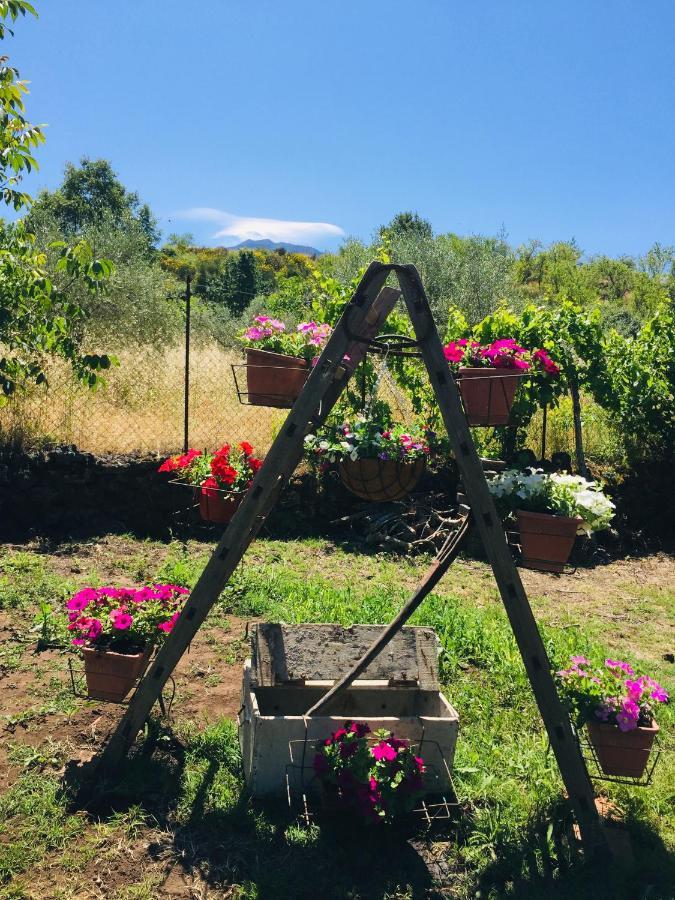 Villa Casa Etna Bronte Esterno foto